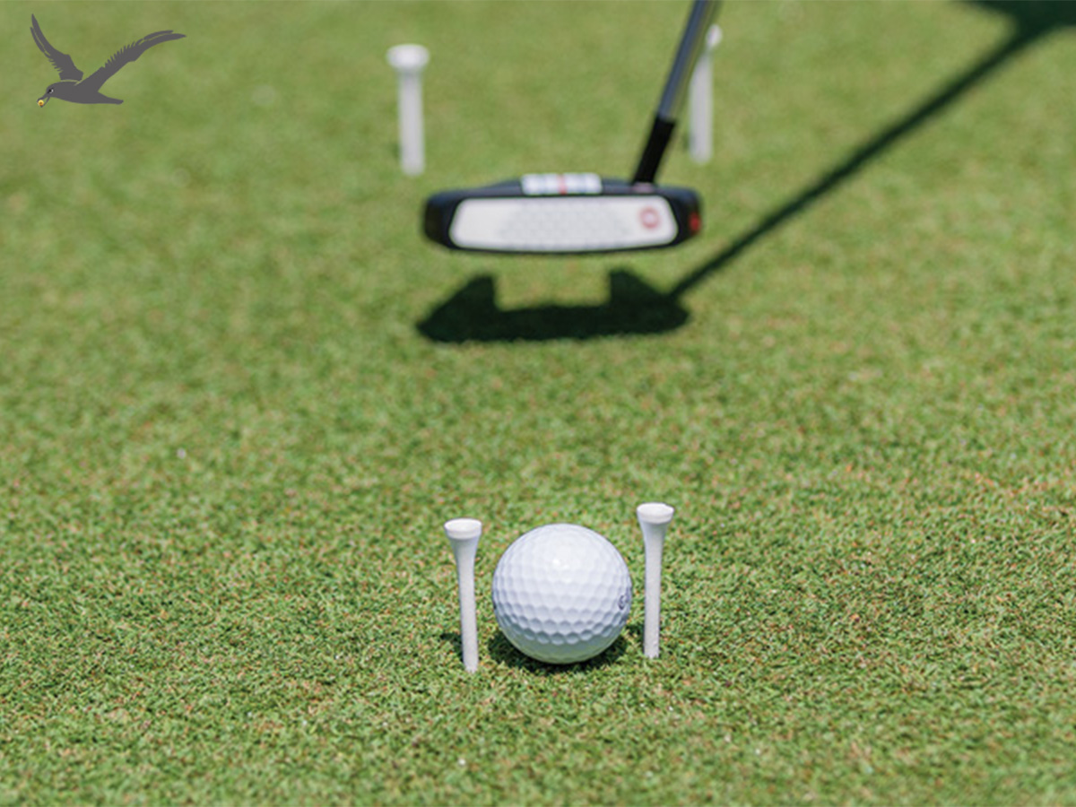 Mastering Your Putting Skills: The Gate Drill